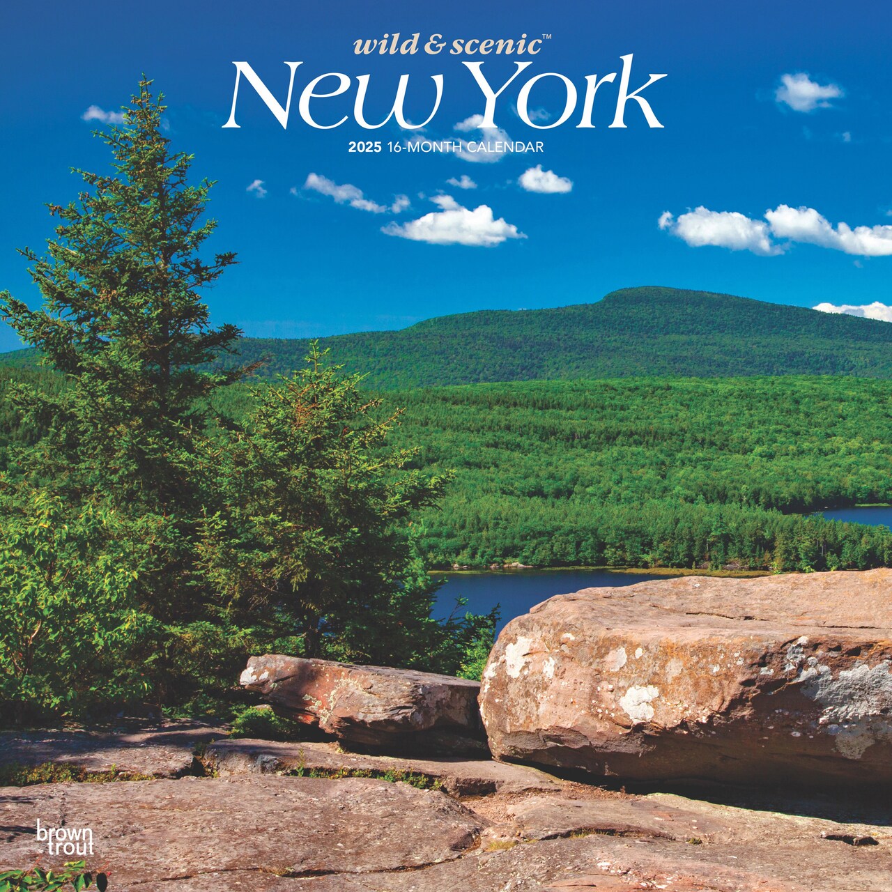 Northeast State 2025 Calendar